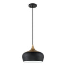 Kendal Lighting - Orian Pendant - PF129-BLK/BRS - Canada Light Shop