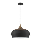 Kendal Lighting - Orian Grande Pendant - PF133-BLK/BRS - Canada Light Shop