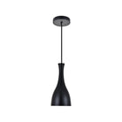 Elegant Lighting - Aiken Pendant - LD2407BK - Canada Light Shop