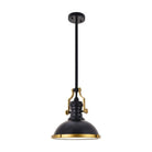 Elegant Lighting - Eamon Pendant - LD5001D13BRB - Canada Light Shop