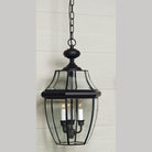 Quoizel - Newbury Outdoor Hanging Lantern - NY1179K - Canada Light Shop