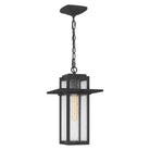 Quoizel - Randall Mini Pendant - RDL1509MB - Canada Light Shop