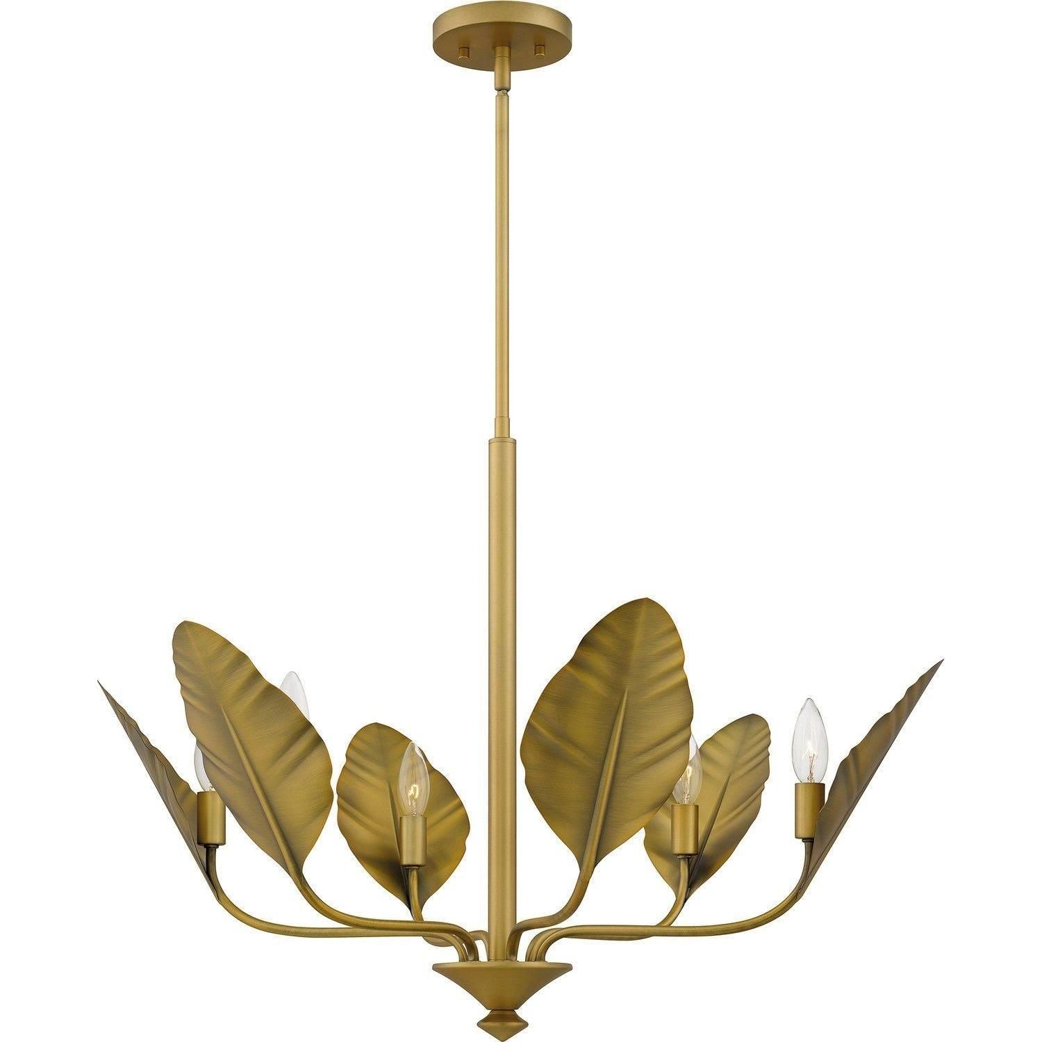 Quoizel - Bayley Chandelier - BAY5028AB - Canada Light Shop