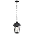 Nuvo Lighting - East River Outdoor Hanging Lantern - 60-5944 - Canada Light Shop