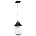 Nuvo Lighting - Austen Outdoor Hanging Lantern - 60-5996 - Canada Light Shop