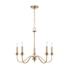 Capital Lighting - AA1023MA - Five Light Chandelier - Weston - Matte Brass