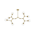 Elegant Lighting - Cavoli Chandelier - 1712G61BR - Canada Light Shop