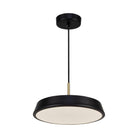 Artcraft Lighting - Lexi LED Pendant - AC6900BK - Canada Light Shop