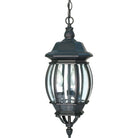 Nuvo Lighting - Central Park Hangng Lantern - 60-896 - Canada Light Shop