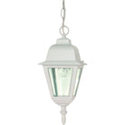 Nuvo Lighting - Briton Hanging Lantern - 60-487 - Canada Light Shop