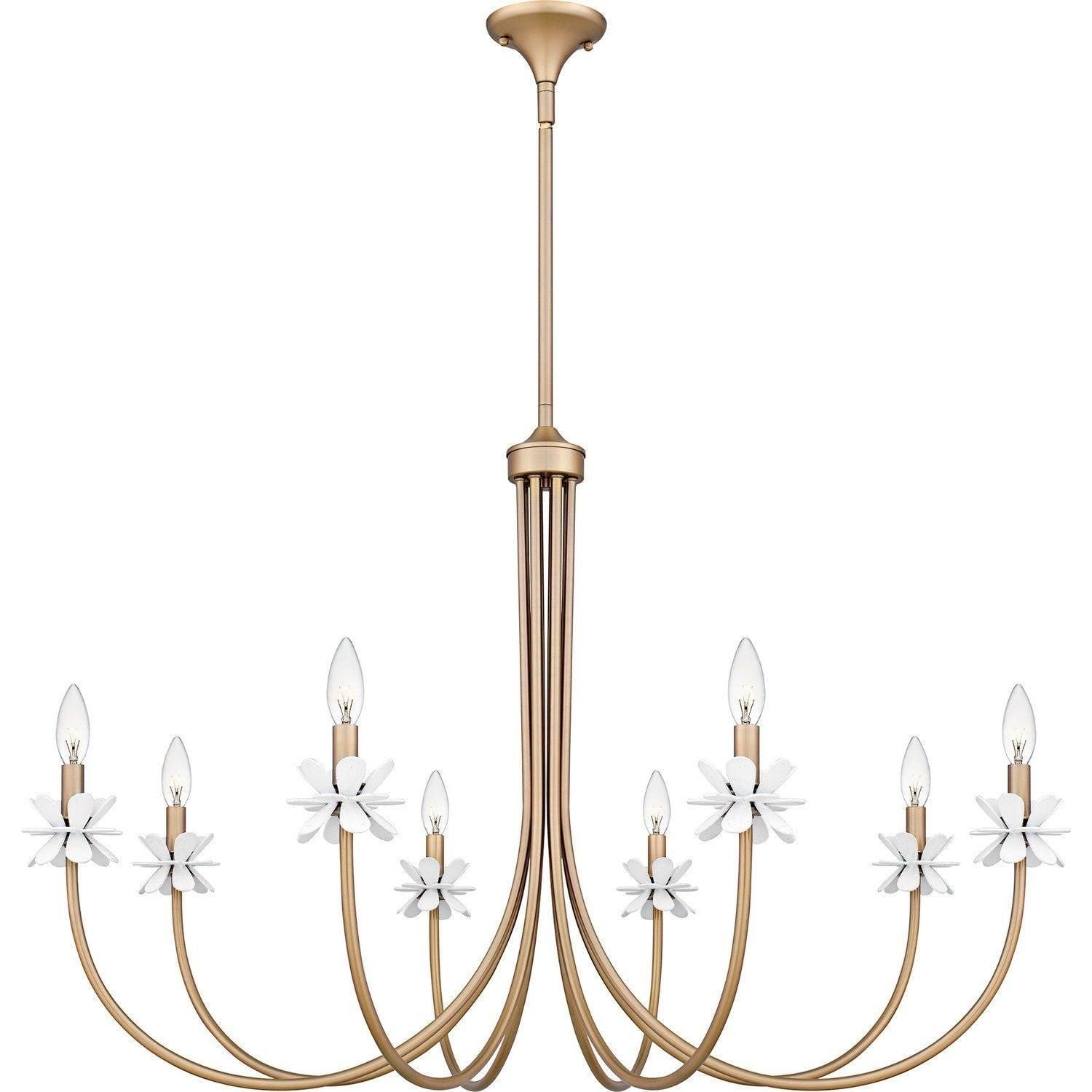 Quoizel - Remy Chandelier - REY5042BGD - Canada Light Shop
