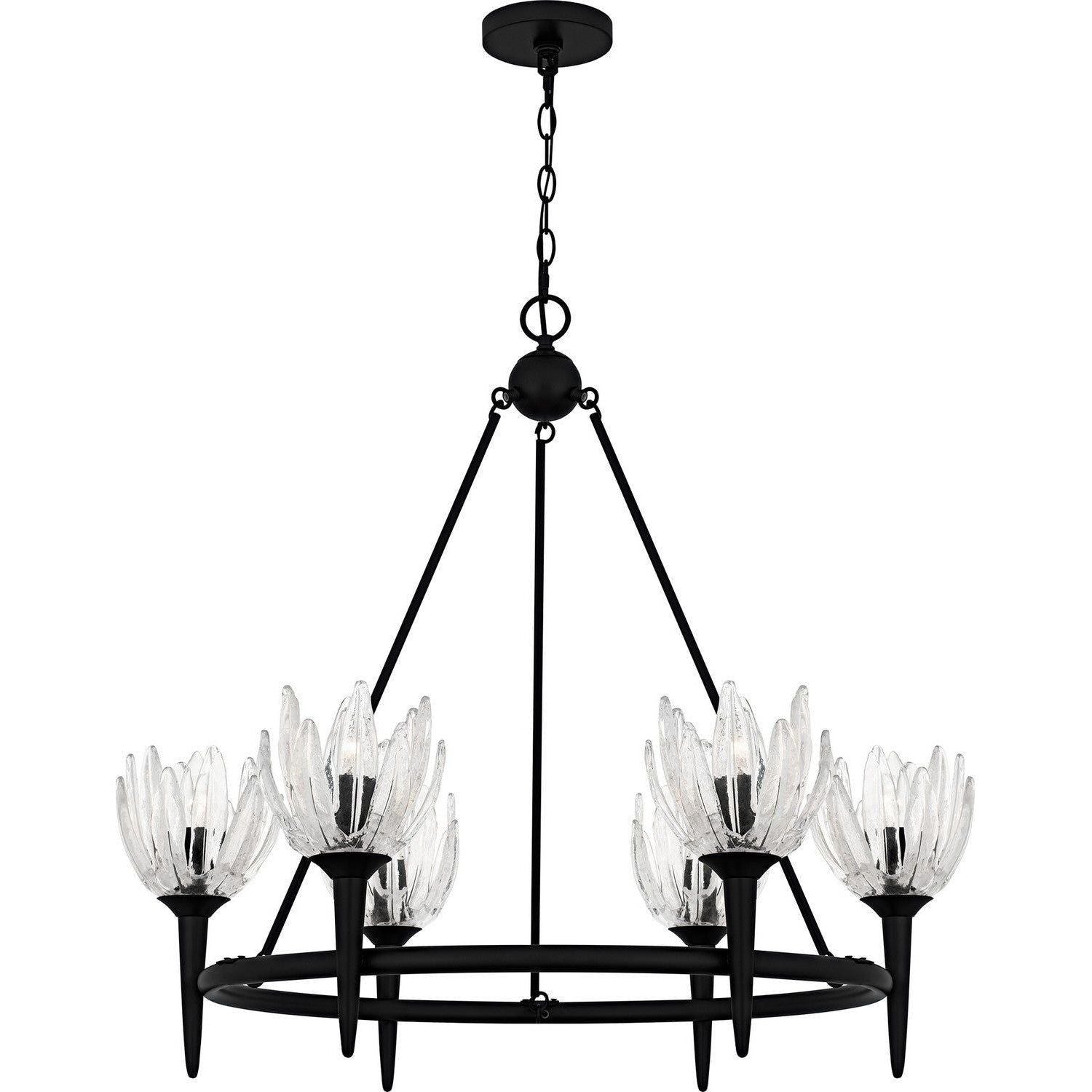 Quoizel - Shea Chandelier - SHA5032MBK - Canada Light Shop