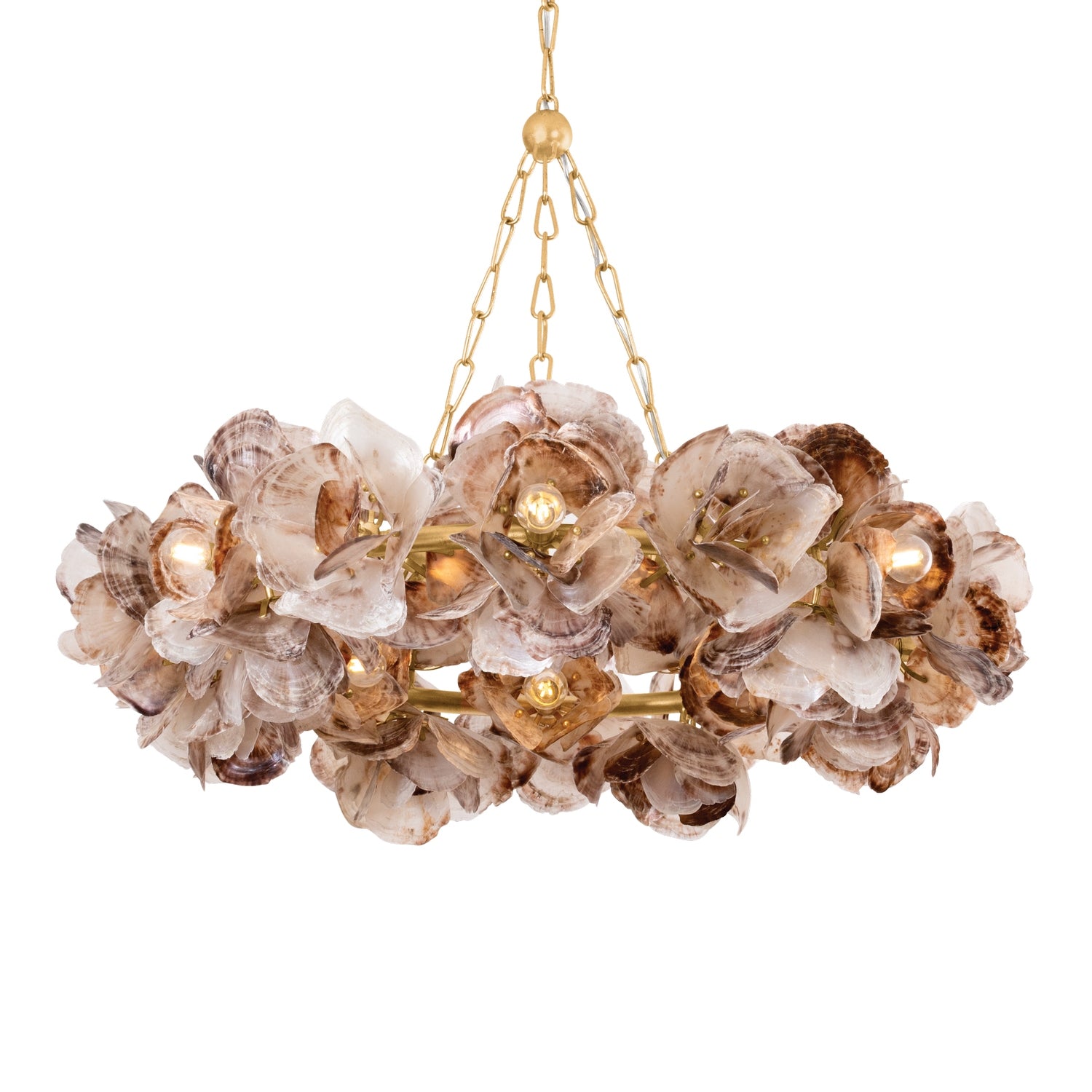 Corbett Lighting Canada - 543-40-VGL - 14 Light Chandelier - Galle - Vintage Gold Leaf