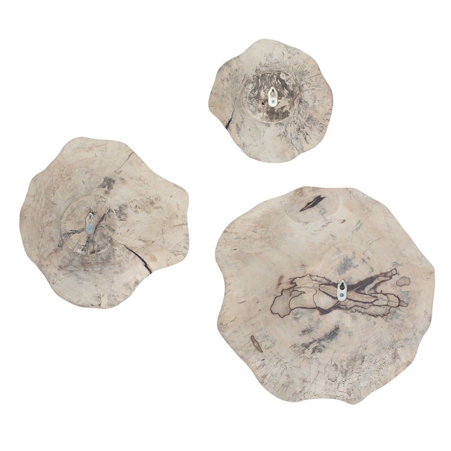 Uttermost - 03505 - Wall Decor Set/3 - Teo - Light Bleached