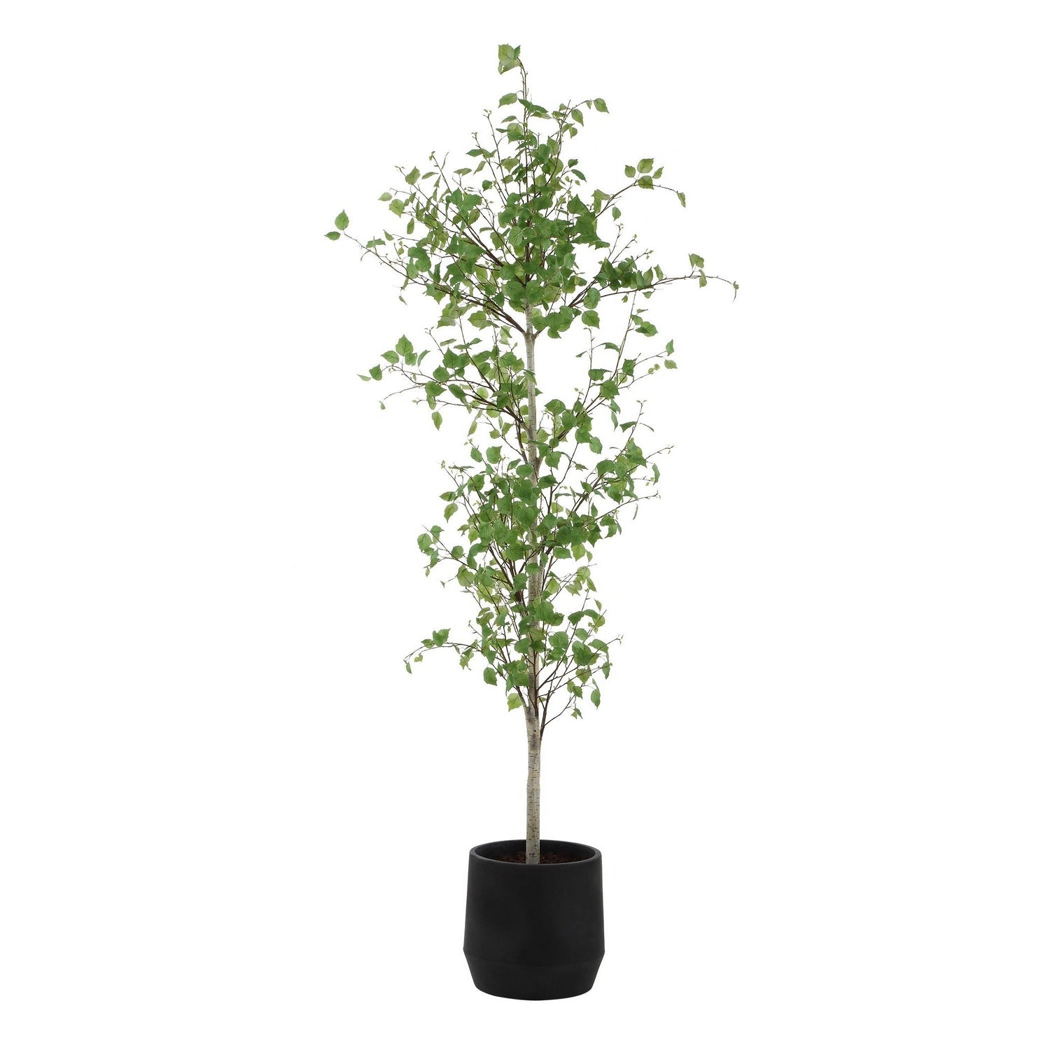 Uttermost - 60263 - Tree - Boreal - Aged Gray