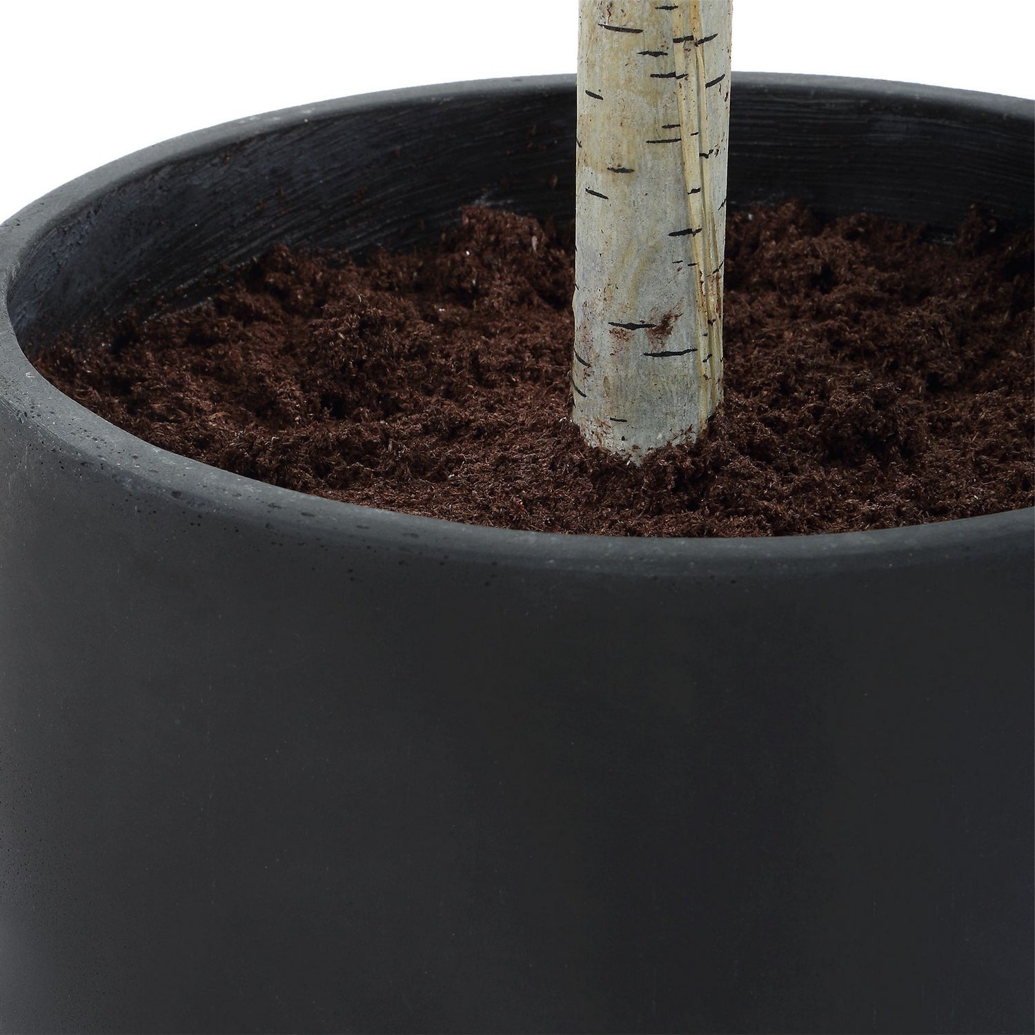 Uttermost - 60263 - Tree - Boreal - Aged Gray