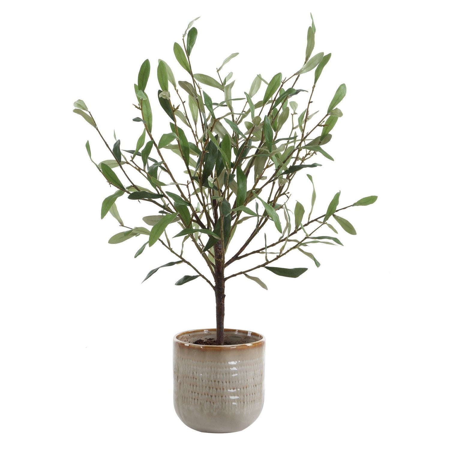 Uttermost - 60264 - Vase - Solea Olive - Green And Silvery