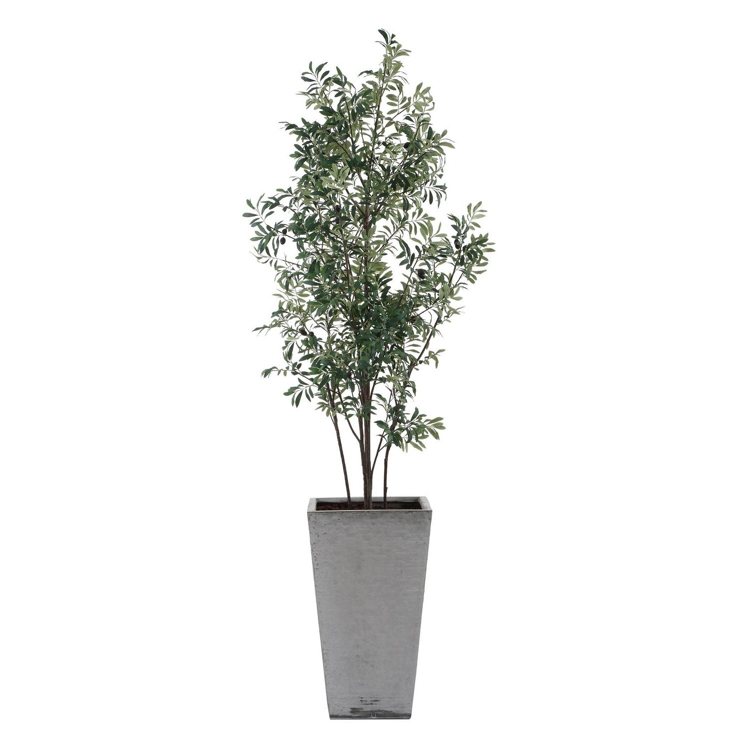 Uttermost - 60269 - Planter - Sonora Olive - Silvery-green