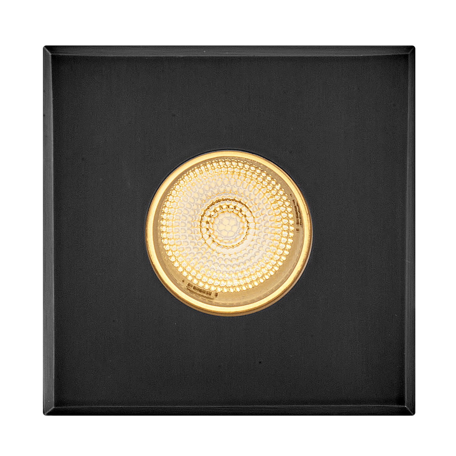 Hinkley Canada - 15085SSB - LED Button Light - Sparta - Dot - Stainless Steel Black