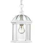 Nuvo Lighting - Boxwood Hanging Lantern - 60-4977 - Canada Light Shop