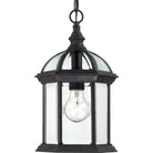 Nuvo Lighting - Boxwood Hanging Lantern - 60-4979 - Canada Light Shop