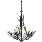 Quoizel - Thornhill Chandelier - THL5006MK - Canada Light Shop