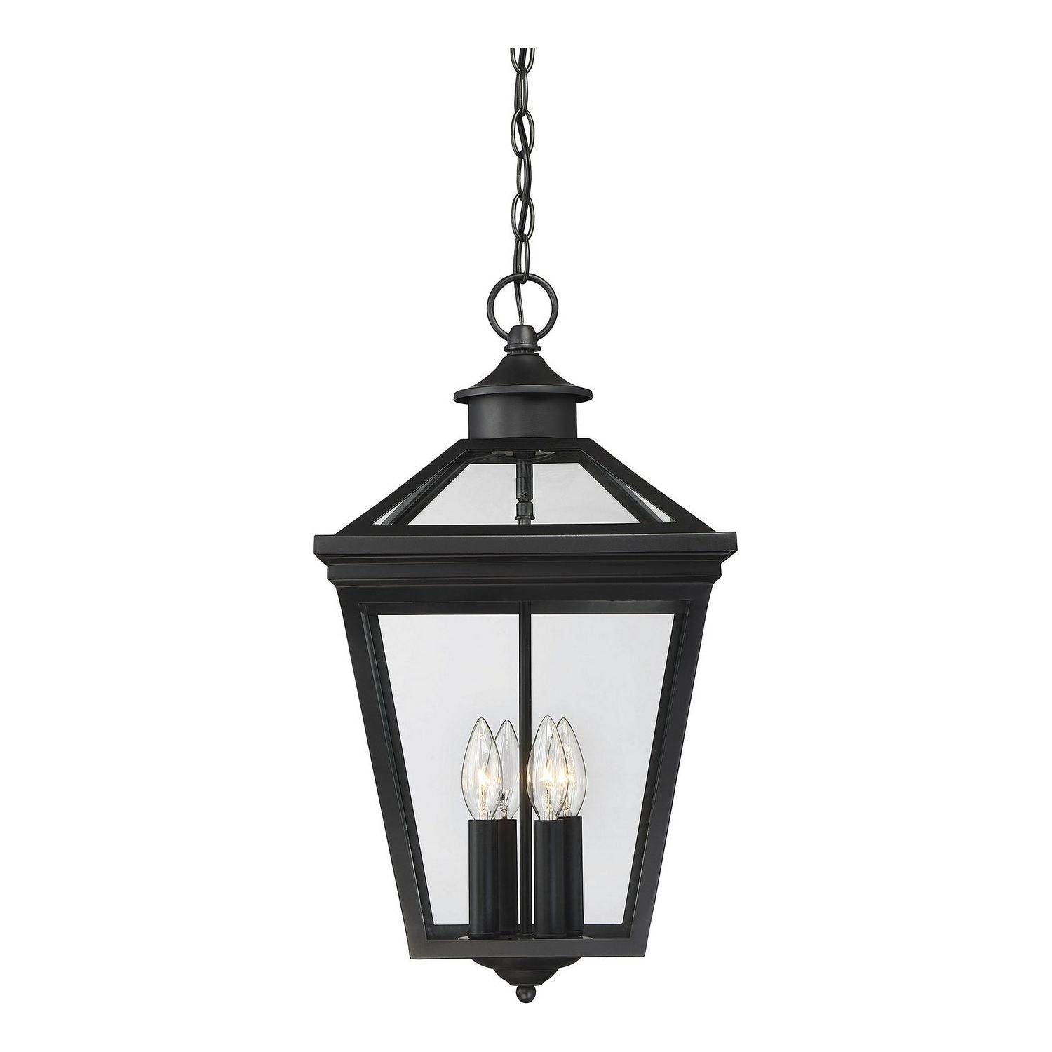Savoy House - Ellijay Outdoor Hanging Lantern - 5-145-BK - Canada Light Shop