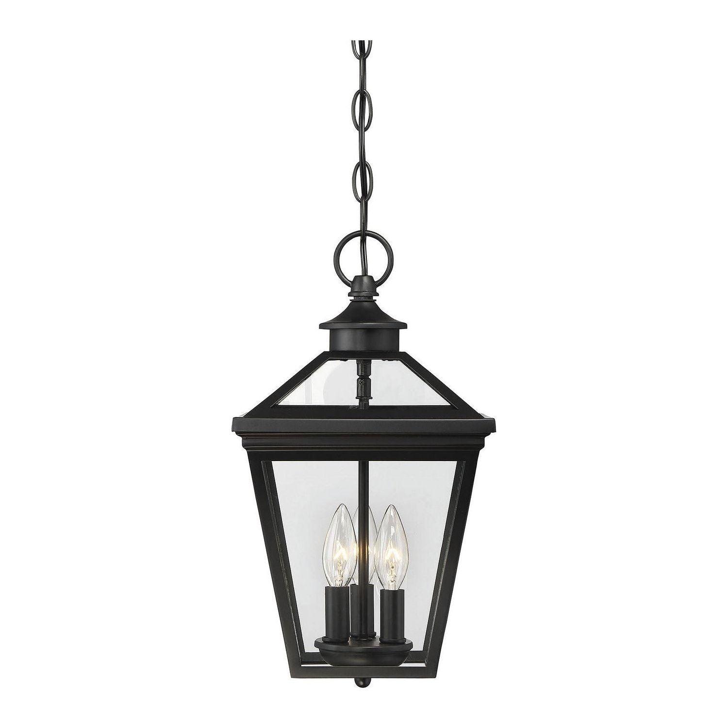 Savoy House - Ellijay Outdoor Hanging Lantern - 5-146-BK - Canada Light Shop