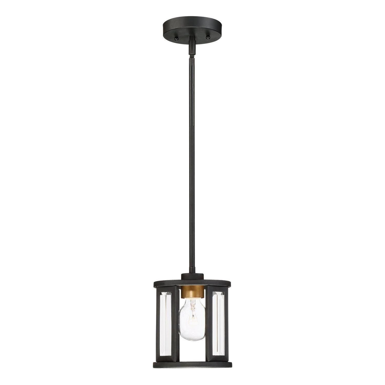Nuvo Lighting - Payne Mini Pendant - 60-6412 - Canada Light Shop