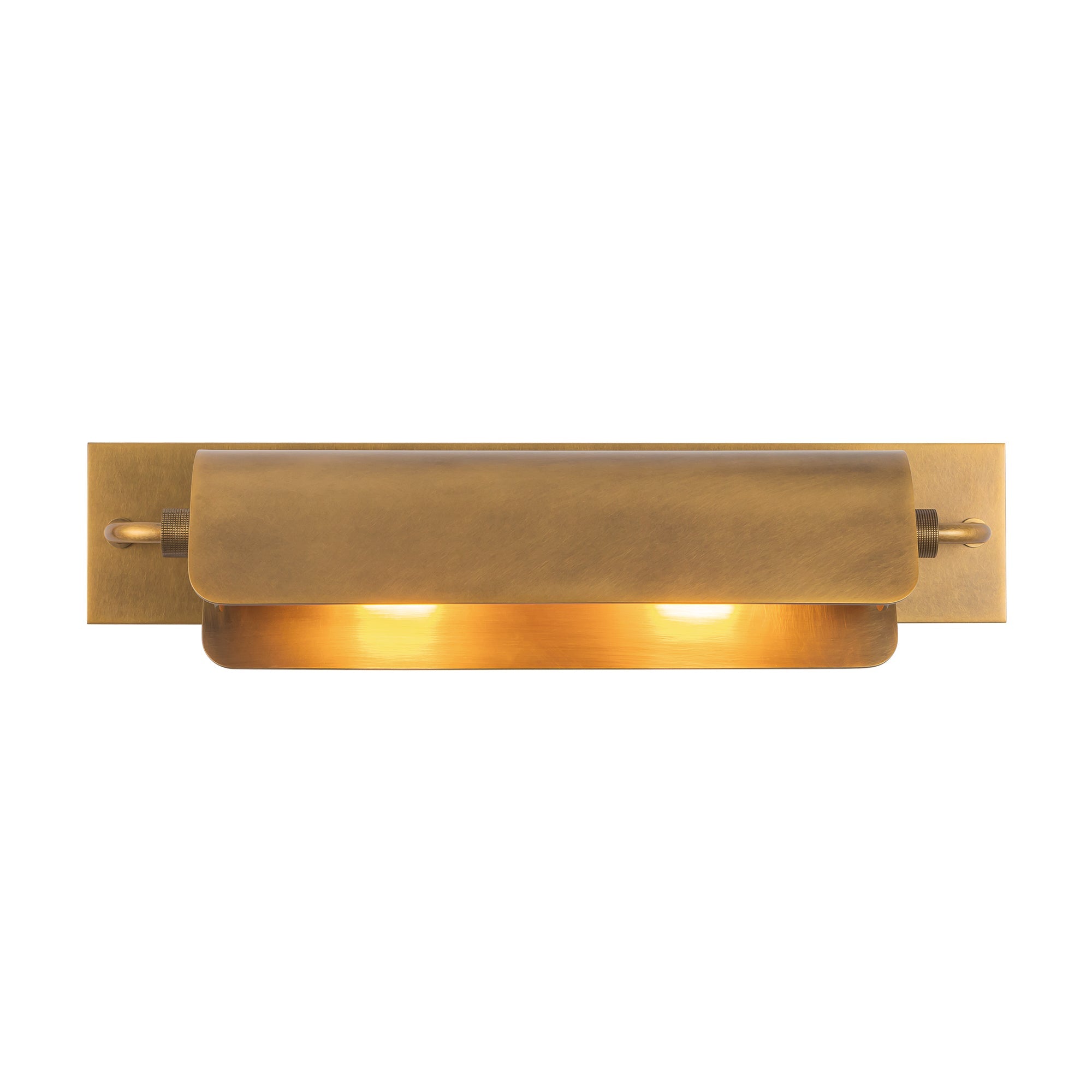 Alora Lighting Darby Wall & Picture Light