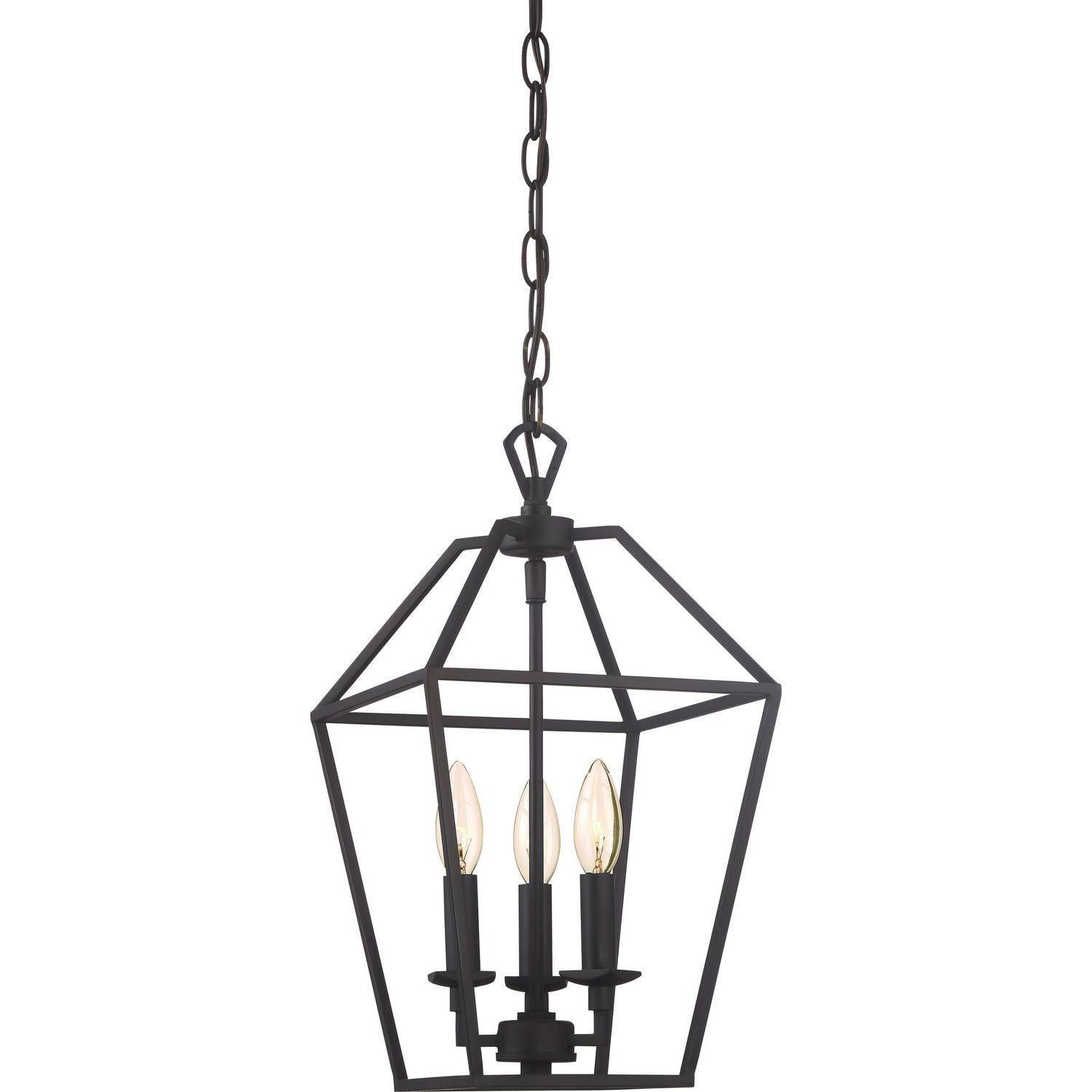 Quoizel - Black Aviary Foyer Pendant - AVY5203PN - Canada Light Shop