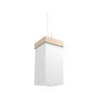 Accord Lighting - Clean Accord Pendant 1060 - 1060.15 - Canada Light Shop