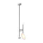 Accord Lighting - Dot Accord Pendant 1418 - 1418.07 - Canada Light Shop