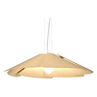 Accord Lighting - Fuchsia Accord Pendant 1365 - 1365.34 - Canada Light Shop