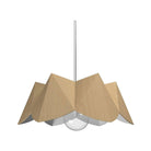 Accord Lighting - Physalis Accord Pendant 1281 - 1281.34 - Canada Light Shop
