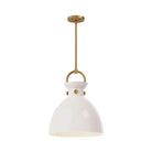 Alora Lighting - Waldo Pendant - PD411814AGGO - Canada Light Shop
