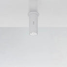 Artemide - Calumet Outdoor Ceiling Light - T41931LW08 - Canada Light Shop