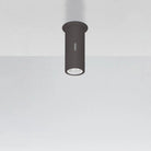 Artemide - Calumet Outdoor Ceiling Light - T41931LW18 - Canada Light Shop
