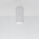 Artemide - Calumet Outdoor Ceiling Light - T41961LN08 - Canada Light Shop