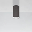 Artemide - Calumet Outdoor Ceiling Light - T41961LW18 - Canada Light Shop