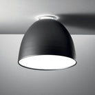 Artemide - Nur Ceiling Light - A243508 - Canada Light Shop