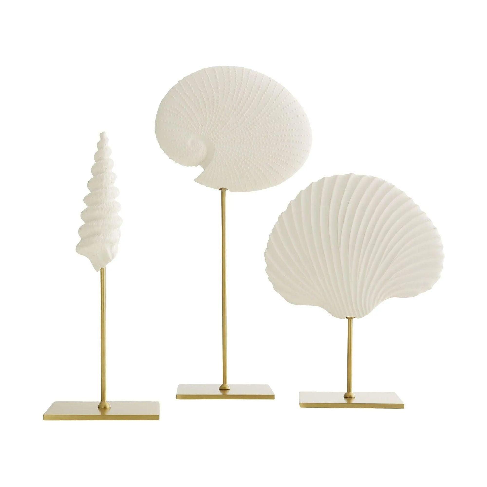 Arteriors - Shell Sculptures, Set of 3 - DC9000 - Canada Light Shop