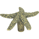 Atlas Homewares - Starfish Knob - 142-V - Canada Light Shop