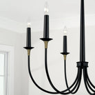Capital Lighting Fixture Company - Amara Chandelier - 445661KB - Canada Light Shop