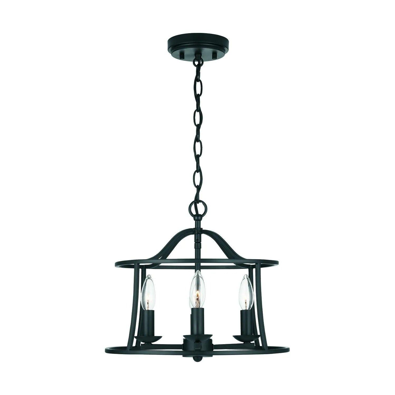 Capital Lighting Fixture Company - Cameron Flush and Semi-Flush Mount - 239541BN - Canada Light Shop
