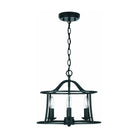 Capital Lighting Fixture Company - Cameron Flush and Semi-Flush Mount - 239541MB - Canada Light Shop