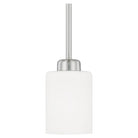 Capital Lighting Fixture Company - Dixon Pendant - 315211BN-338 - Canada Light Shop