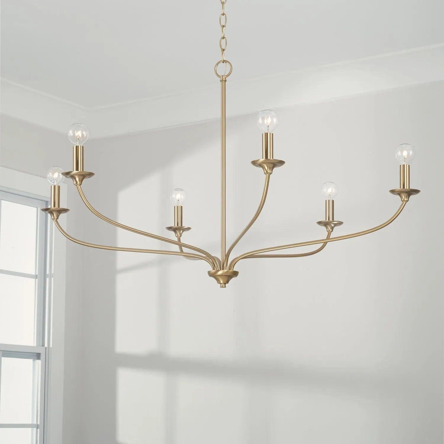 Capital Lighting Fixture Company - Dolan Chandelier - 449981MA - Canada Light Shop