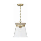 Capital Lighting Fixture Company - Finn Pendant - 347311WS - Canada Light Shop
