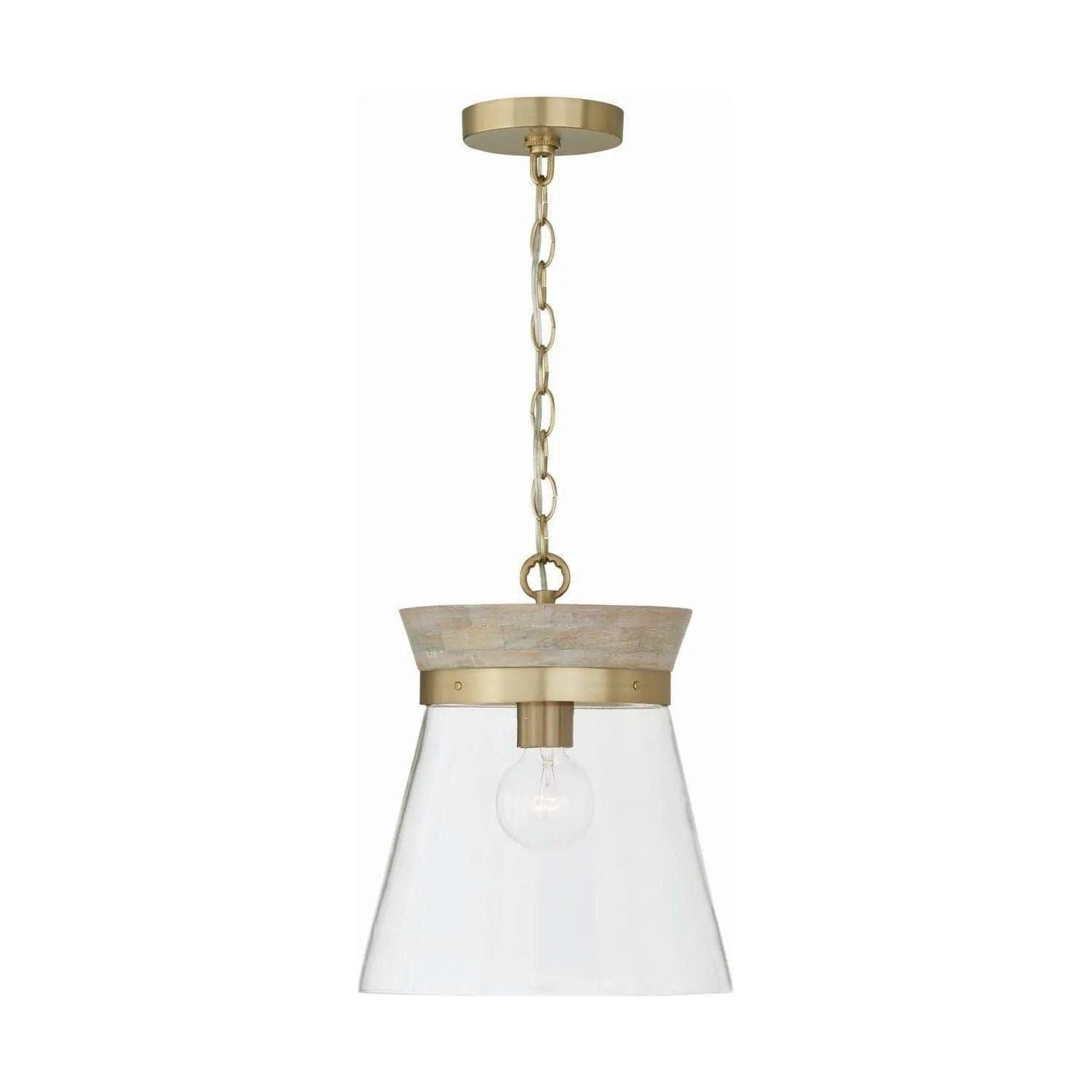 Capital Lighting Fixture Company - Finn Pendant - 347311WS - Canada Light Shop